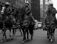 Mounted police after driving protesters from Second Avenue between 51st and 52nd Streets