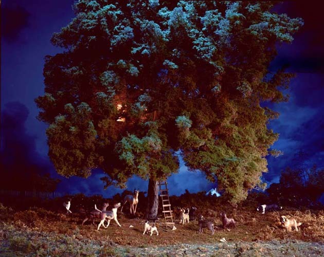 Photograph by Lori Nix