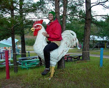 rooster12.jpg