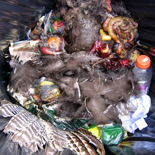 Contents of Garbage Can, Missouri River at Hwy. 44, South Dakota, April 21, 2007