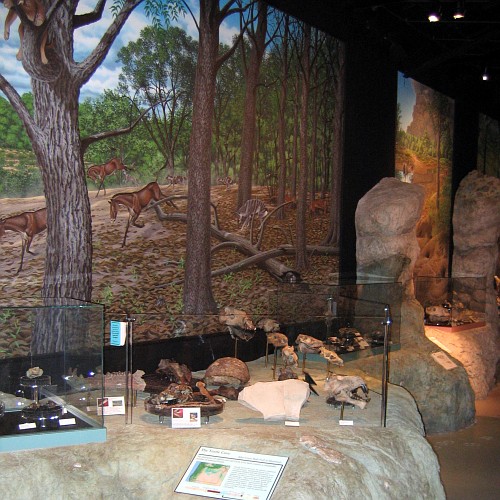 John Day Fossil Beds National Monument, Thomas Condon Paleontology Center, 4/26/2007