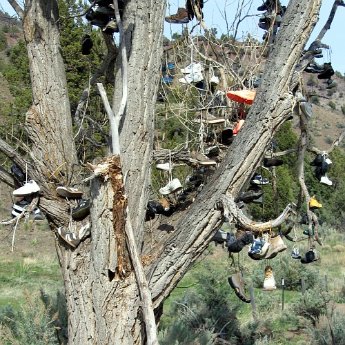 Shoe Tree, US Hwy 26 near Mitchell, OR, 4/26/2007