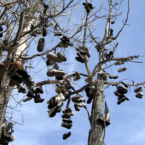 Shoe Tree, US Hwy 26 near Mitchell, OR, 4/26/2007