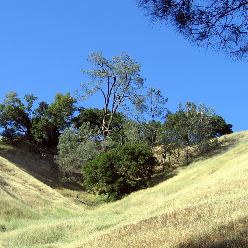 Mount Diablo, Contra Costa County, CA, 5/20/2007