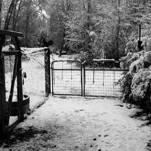 Laytonville, CA, 12/28/2007