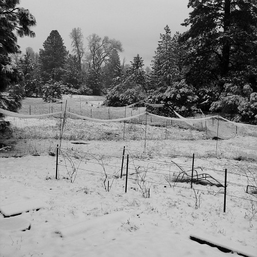 Laytonville, CA, 12/28/2007
