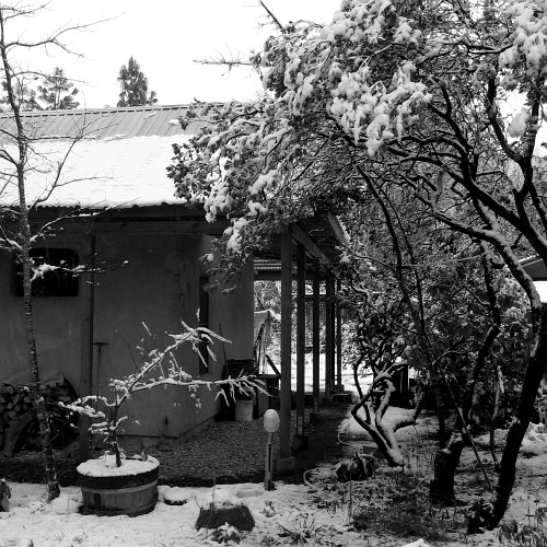 Laytonville, CA, 12/28/2007
