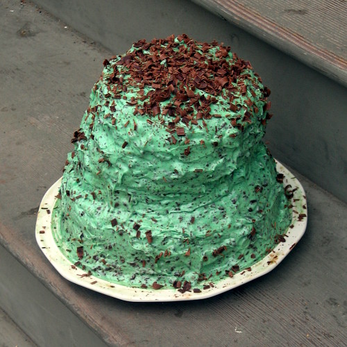 Colleen\'s cake on the back steps