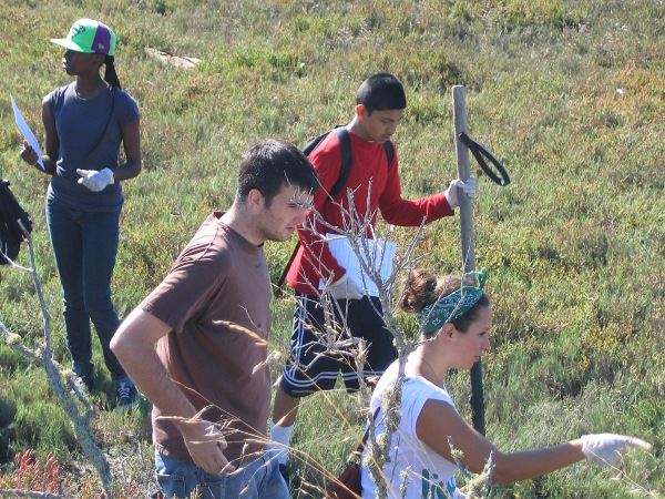 Coastal Cleanup Day, Richmond, California