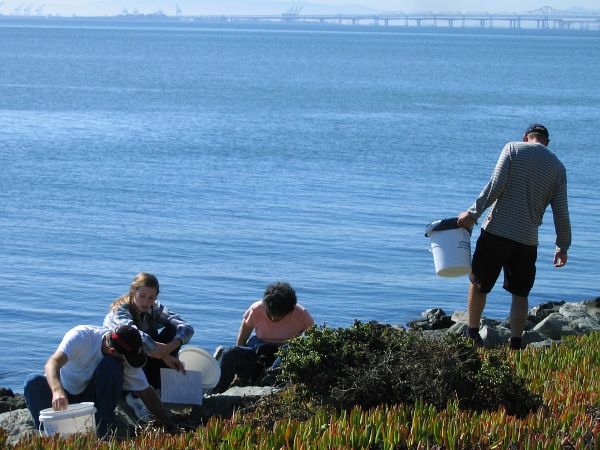 Coastal Cleanup Day, Richmond, California