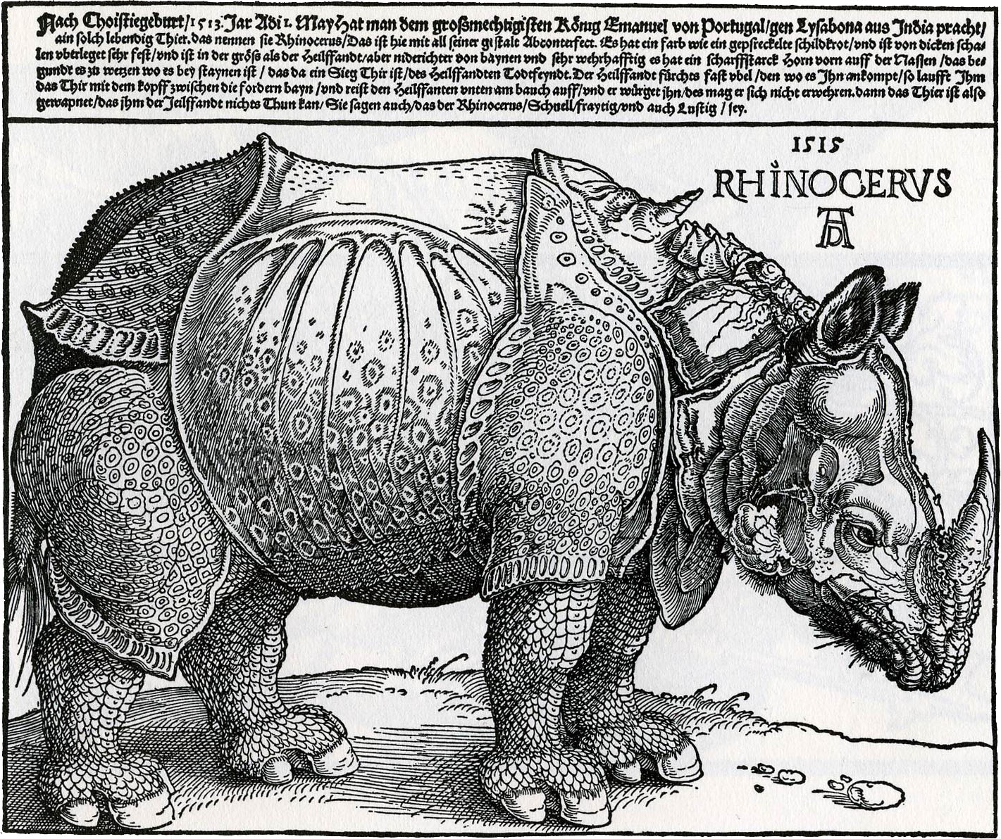 Albrecht Durer's rhinoceros